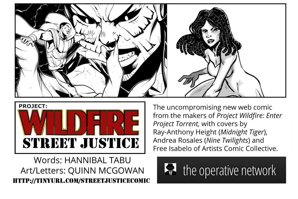 cover of project wildfire: street justice